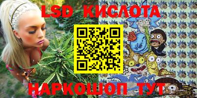 стафф Краснодар