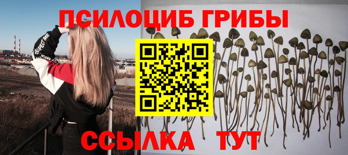 Псилоцибиновые грибы Magic Shrooms  магазин продажи наркотиков  Вход с VPN  Егорьевск  Псилоцибиновые грибы прущие грибы 